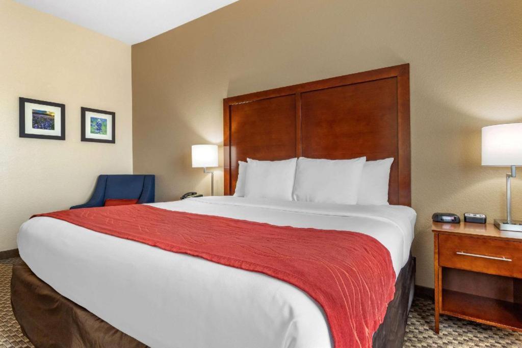 Comfort Inn & Suites Navasota Eksteriør billede