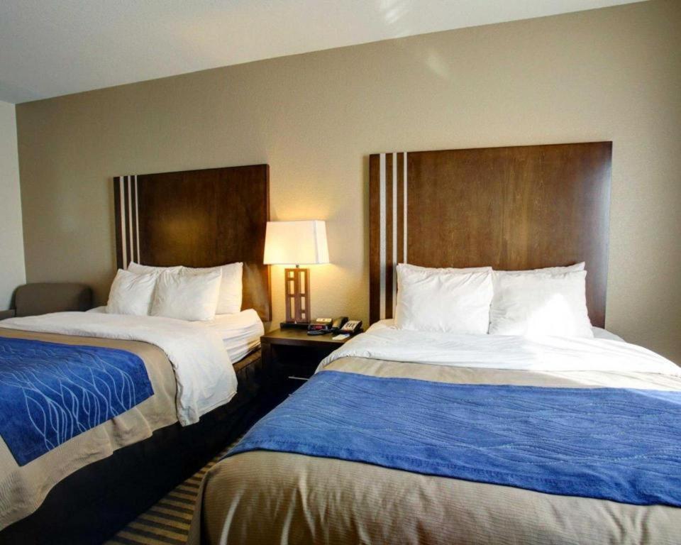 Comfort Inn & Suites Navasota Eksteriør billede