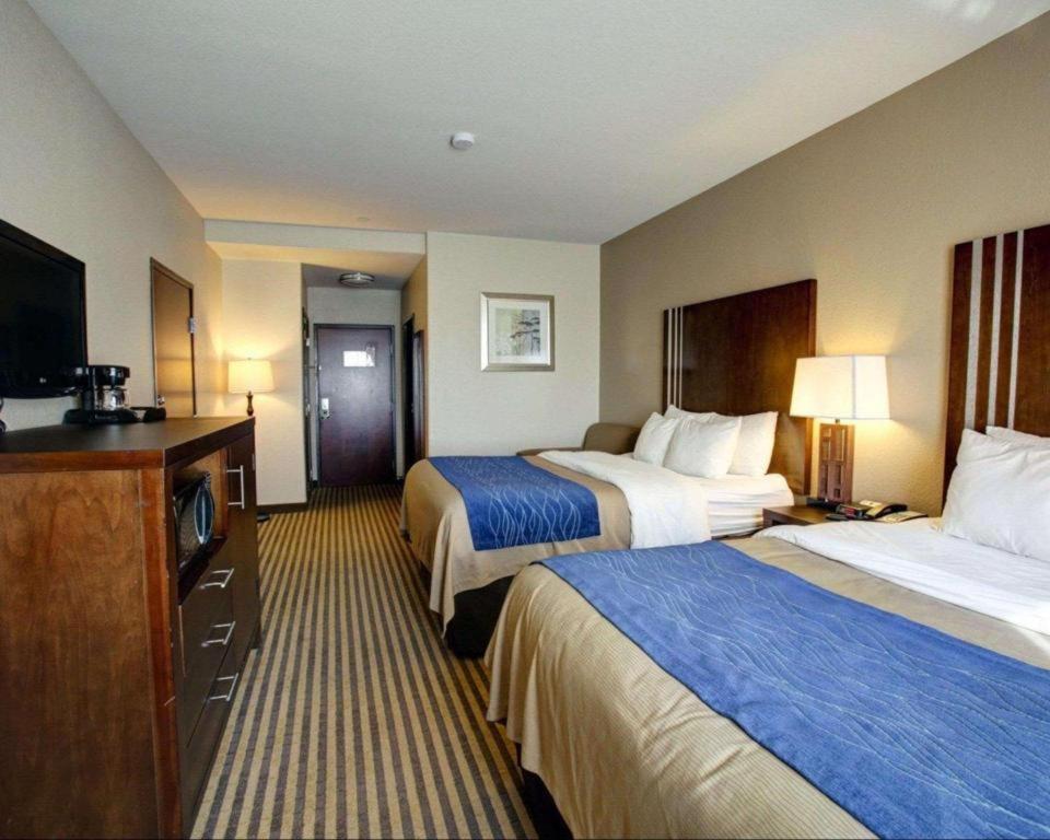 Comfort Inn & Suites Navasota Eksteriør billede