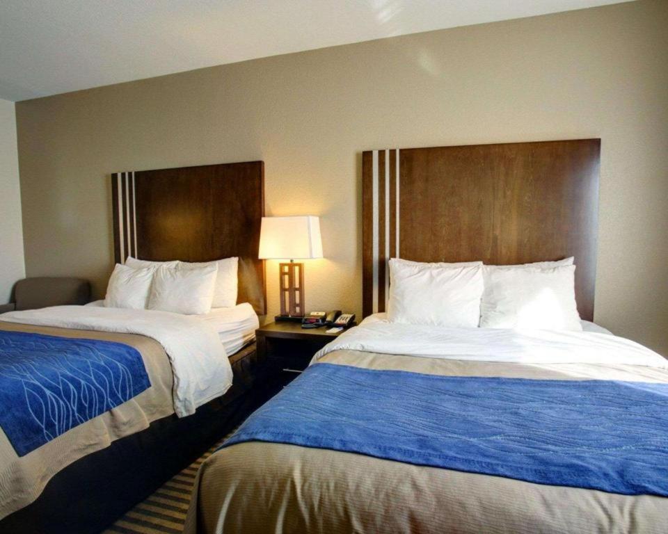 Comfort Inn & Suites Navasota Eksteriør billede