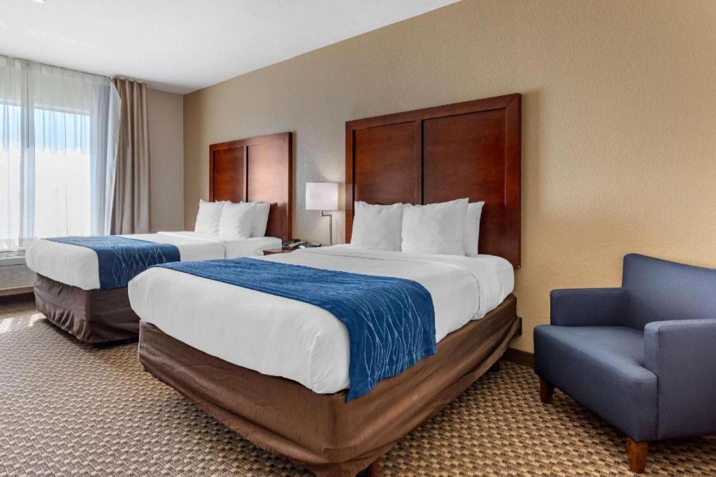 Comfort Inn & Suites Navasota Eksteriør billede