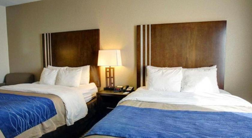 Comfort Inn & Suites Navasota Eksteriør billede