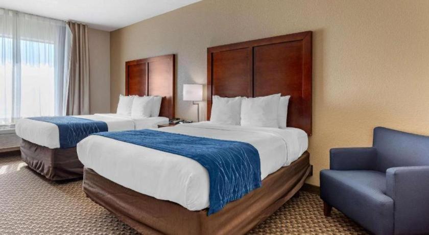 Comfort Inn & Suites Navasota Eksteriør billede